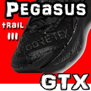 RARE LIMITED NIKE PEGASUS TRAIL 3 GTX GORE-TEX WATERPROOF BREATHABLE BLACK HIKER - Picture 1 of 12