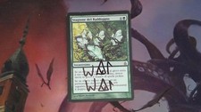 1X Doubling Season Ravnica: City of Guilds Italian SIGNED SEE PICTURES MTG CARD