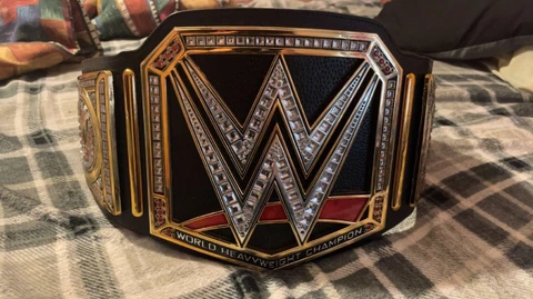 WWE Championship 2014 Title Belt(JAKKS) Cover