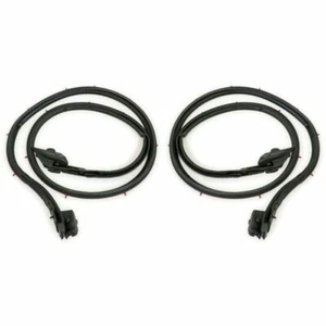 Genuine Skyline GTR BNR34 ER34 Door Seal Weatherstrip Right Left for nissan OEM - Foto 1 di 3