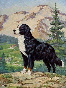 BERNESE MOUNTAIN DOG IN ALPINE SCENE GREETINGS NOTE CARD