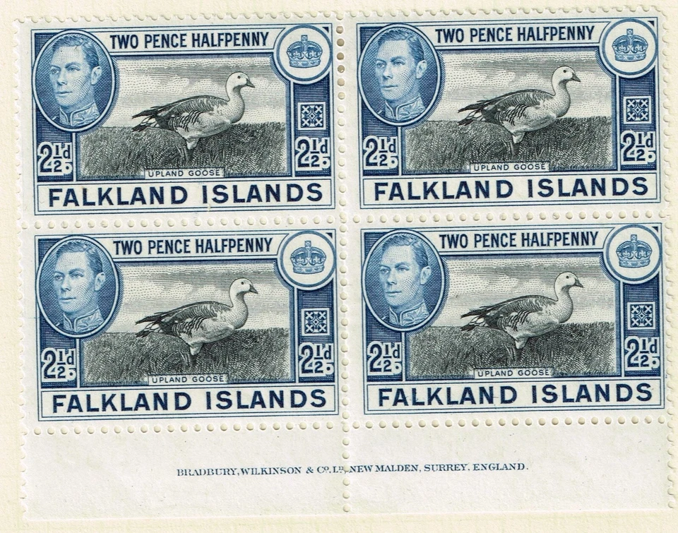 Falkland Islands Fauna Birds Upland Goose stamp Block 4 1949 MLH/NH AM - Image 1 of 1