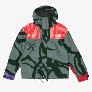 Chaqueta de Montaña DS New Kaws x The North Face TNF 1986 Bálsamo Verde Retro Grande L - Imagen 1 de 10
