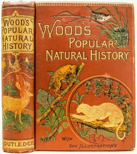 1894 Wood's Natural Popular History Illustrated Color Plates Fine Binding - Picture 1 of 12