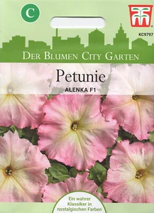 Petunie 'Alenka' F1 - Petunia hybrida, Samen, 42053 - Bild 1 von 2