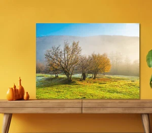 Trees with Yellow Leaves 5mm thick Plastic Poster Ready to Hang 60x45cm - Picture 1 of 3