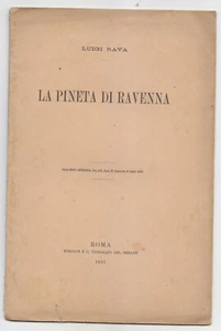 EE881-LA PINETA DI RAVENNA-LUIGI RAVA- - Picture 1 of 1