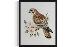 Red Tailed Hawk Bird on Branch Watercolor Art Print Poster Wall Art Painting - Picture 1 of 7
