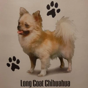 LONG COAT CHIHUAHUA DOG BREEDS PROFILE DESIGNS SHIRT (FRONT PRINT ONLY) - Picture 1 of 3