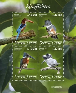 Sierra Leone - 2020 Kingfishers, Belted, Green - 4 Stamp Sheet - SRL200214a - Picture 1 of 1