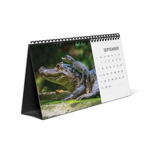 Desktop Calendar, Baby Animal 2025 Calendar, Wall Calendar, Office Decor, Cute - Picture 1 of 9