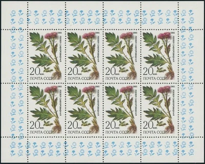 1986, SOVIET UNION, STEPPE FLOWERS, MINISHEET & COMMON SHEET, NH, SC#5428a - Image 1 of 2