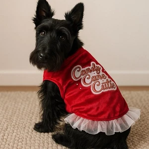 Simply Wag Dog Dress Christmas Red Candy Cane Cutie Velvet Tutu M - Picture 1 of 5