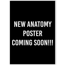 Human Anatomy Medical Anatomical Life Posters Wall Print | A5 A4 A3 A2 A1 |