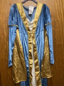 Halloween Costume Ladies Renaissance Festival Dress Blue & Gold Jr Large Read ⬇️ - Picture 1 of 15