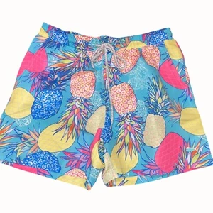 Southern Lure Boys Youth Multicolor Tropical Pineapple Swim Trunks Medium NEW - Picture 1 of 8