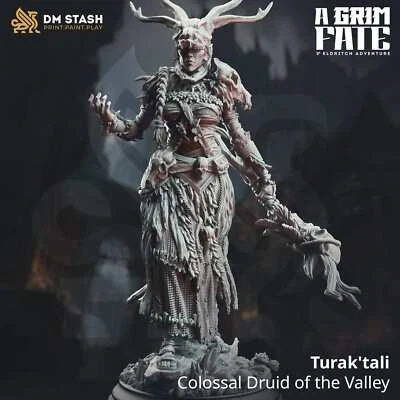 QUMI Tabletop Exotic Druid Miniature Turak Tali 32mm 75mm DM Stash