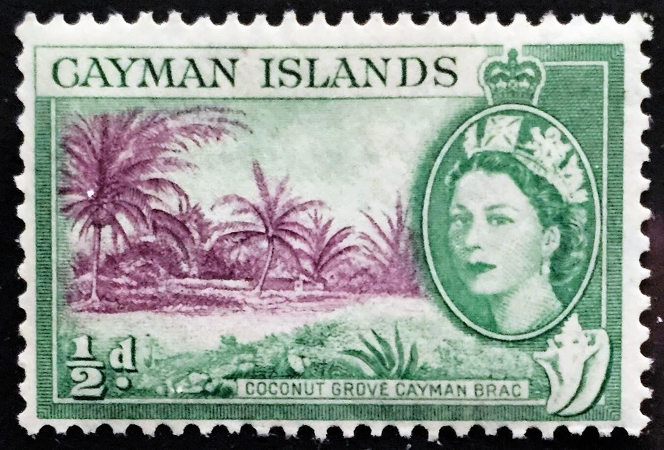CAYMAN ISLANDS 1954-62 SG149 QEII ½d. COCONUT GROVE, CAYMAN BRAC - MNH - Image 1 of 1