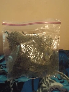 Una bolsa de árboles de plástico para decorar tabla de tren - Imagen 1 de 2