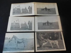 Vintage 1907 Schreiben Farmers Famous Horse Postcards 6 - Picture 1 of 1