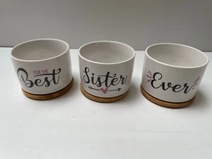 Unique Gift for Sister, Best Sister Ever 3 pcs Succulent Pots with Gift Box. New - Picture 1 of 6