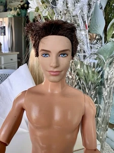 Barbie Fashionistas Ken Ryan Rooted Hair Articulated Male Doll Blue Eyes 2009 - Bild 1 von 11