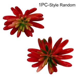 Simulated Succulent Ornaments Decorative Accessories Garden Courtyard Greenery - Picture 1 of 1