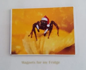 CHRISTMAS SPIDER FRIDGE MAGNET - M515 - Picture 1 of 1