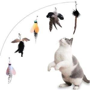 Kryzalite® Lot de 5 jouets interactifs d'intérieur à plumes pour chat - Jouet...
