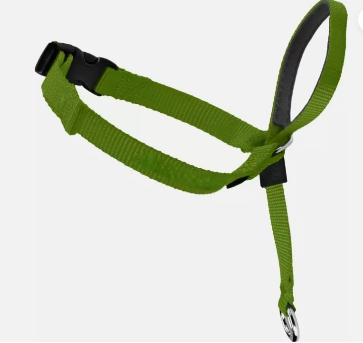 PetSafe Gentle Leader Head Collar With Training DVD Medium 25-60 Lbs Apple Green