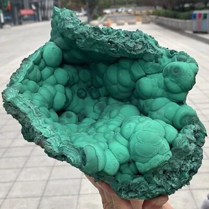 15.06LB Natural glossy velvet Malachite transparent cluster rough mineral sample - Picture 1 of 21