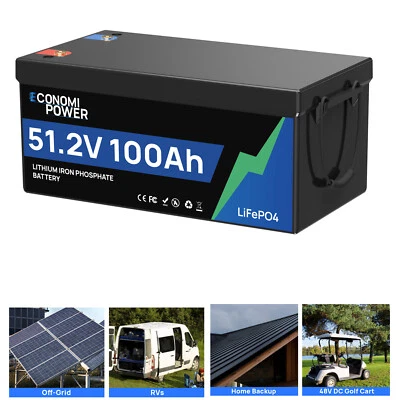ECONOMIPOWER 5.12kWh 48V 100Ah LiFePO4 Batterie 100A BMS für Wohnmobil Golfwagen Solar Boote