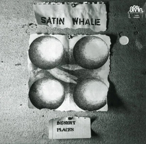 SATIN WHALE - DESERT PLACES, 2024 EU 180G SILVER vinyl LP, 100 COPIES! PROG ROCK - Picture 1 of 1