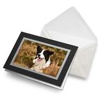 Grußkarte (schwarz) - Border Collie Farm Hund Welpe Geburtstagsgeschenk #15553