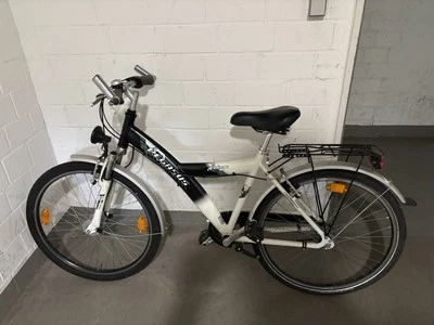 Fahrrad (Pegasus) - Bild 1 von 2