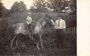 Postal MI: RPPC Edward Don & Son on Horse, Hillsdale, Michigan foto de 1910 - Imagen 1 de 2