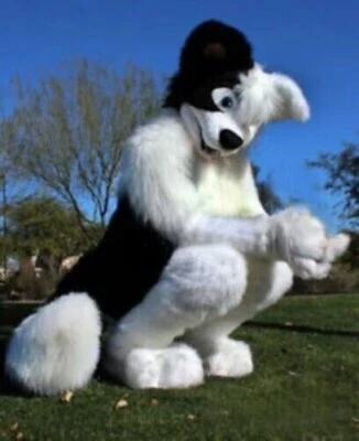 White Husky Dog Black Fox Fursuit Mascot Costumes Long Fur Furry Wolf Halloween - Image 1 of 2