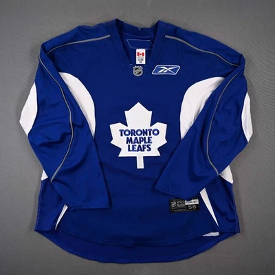 2008-09 Niklas Hagman Toronto Maple Leafs Practice Used Worn NHL Hockey Jersey - Image 1 of 4