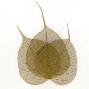 25 Metallic Gold 4" PO SKELETON  LEAVES Card, Scrapbook - Picture 1 of 1