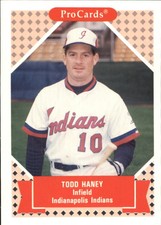 1991-92 ProCards Tomorrow's Heroes #257 Todd Haney