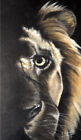 Peinture acrylique contemporaine lion africain 18 pouces x 24 pouces. Livrance Art Life GRATUITE