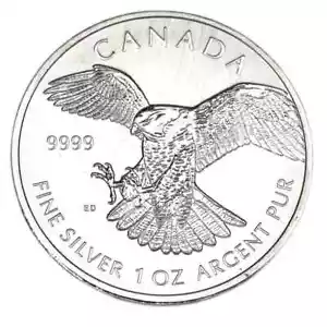 2014 Canadian Peregrine Falcon Birds of Prey Coin: 1oz .9999 Silver Collectible - Picture 1 of 2