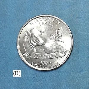2004-P- WISCONSIN STATE QUARTER FROM A US MINT ROLL C- NGC PRICE CHARTS  (B) - Picture 1 of 5