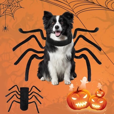 Halloween Araña/Murciélago Mascota Disfraz/Navidad Santa Sudadera con Capucha Abrigo Juegos con disfraces Ropa Gato Perro Foto 1 de 4