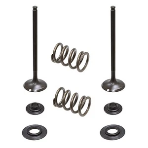 Psychic Exhaust Valve Kit for KTM fits 2008-2013 250 SX-F & 250 EXC-F - Picture 1 of 2