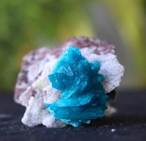 Cavansite Crystal On Matrix Minerals Specimen #BG16 - Imagen 1 de 5