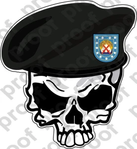 PEGATINA BOINA EJÉRCITO EE. UU. UNIDAD 10ª Calavera de montaña - Imagen 1 de 1