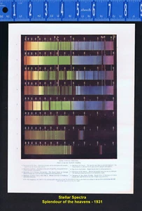Stellar (Star) Spectra - Chemical Composition - 1931 Astronomy Print  - Picture 1 of 1