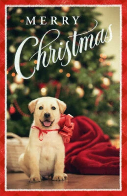 Caja de 14 lindas tarjetas de Navidad para perros Golden Retriever cachorro lazo rojo en el cuello Foto 1 de 2