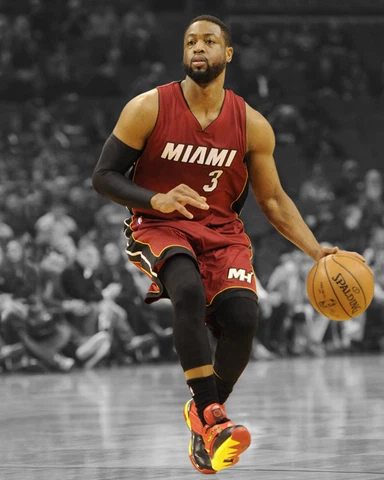 Miami Heat DWYANE WADE Glossy 8x10 Photo Spotlight Basketball Poster Print Cover